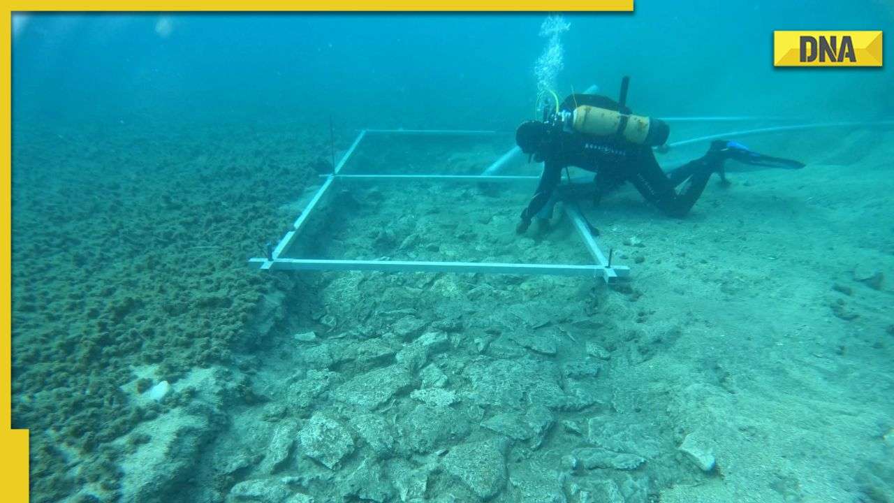 Archaeologists find 7000-year-old road inside sea; list of items found